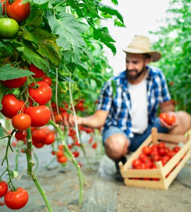 Agriculture Matters to the Future of World