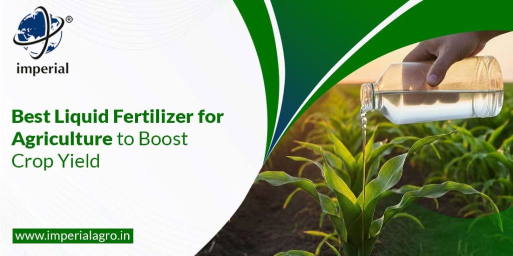 Best Liquid Fertilizer for Agriculture to Boost Crop Yield