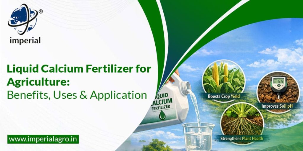 Liquid Calcium Fertilizer for Agriculture:  Benefits, Uses and Application