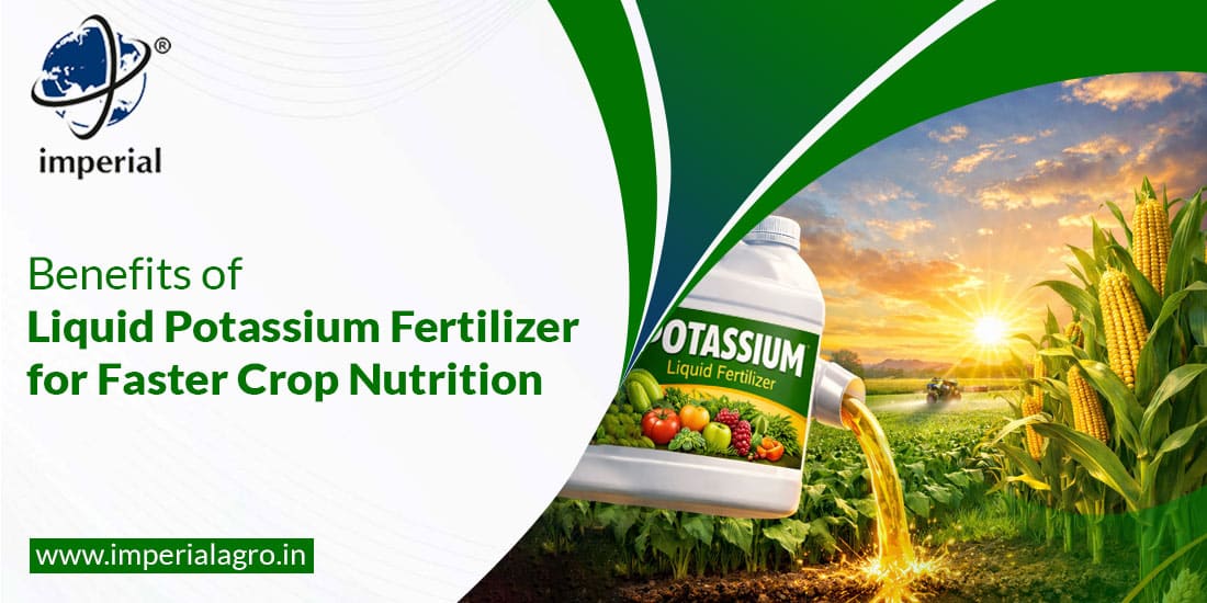 Benefits of Liquid Potassium Fertilizer for Faster Crop Nutrition