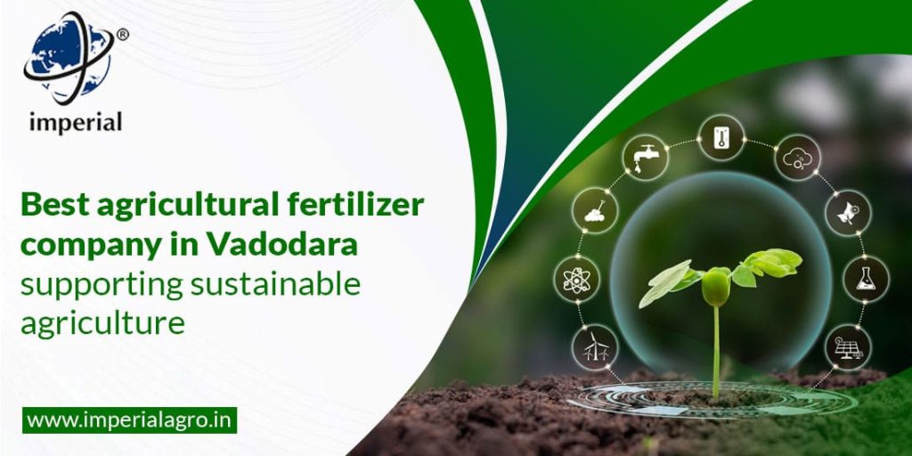 Best Agricultural Fertilizer Company in Vadodara Supporting Sustainable Agriculture