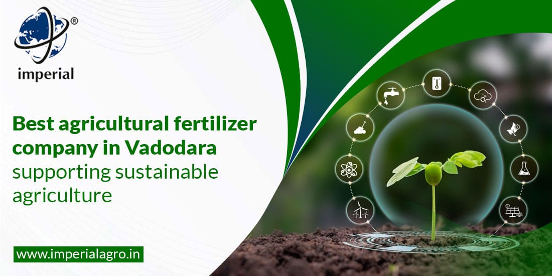 Best Agricultural Fertilizer Company in Vadodara Supporting Sustainable Agriculture