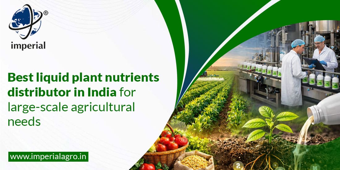 Best Liquid Plant Nutrients Distributor in India for Large-Scale Agricultural Needs