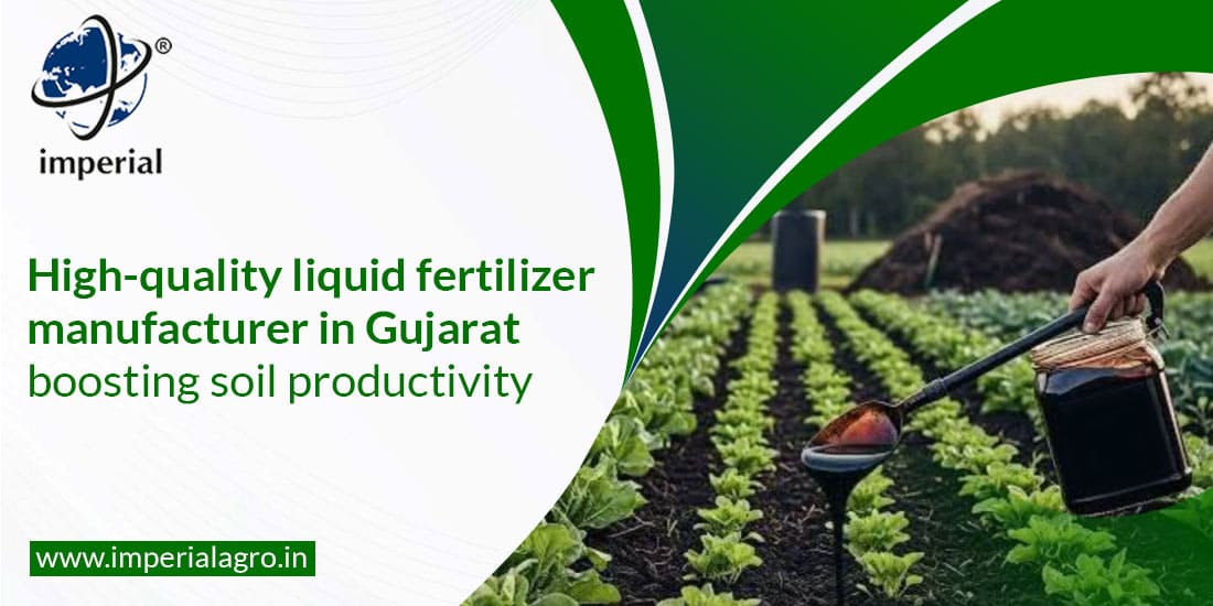 High-Quality Liquid Fertilizer Manufacturer in Gujarat Boosting Soil Productivity