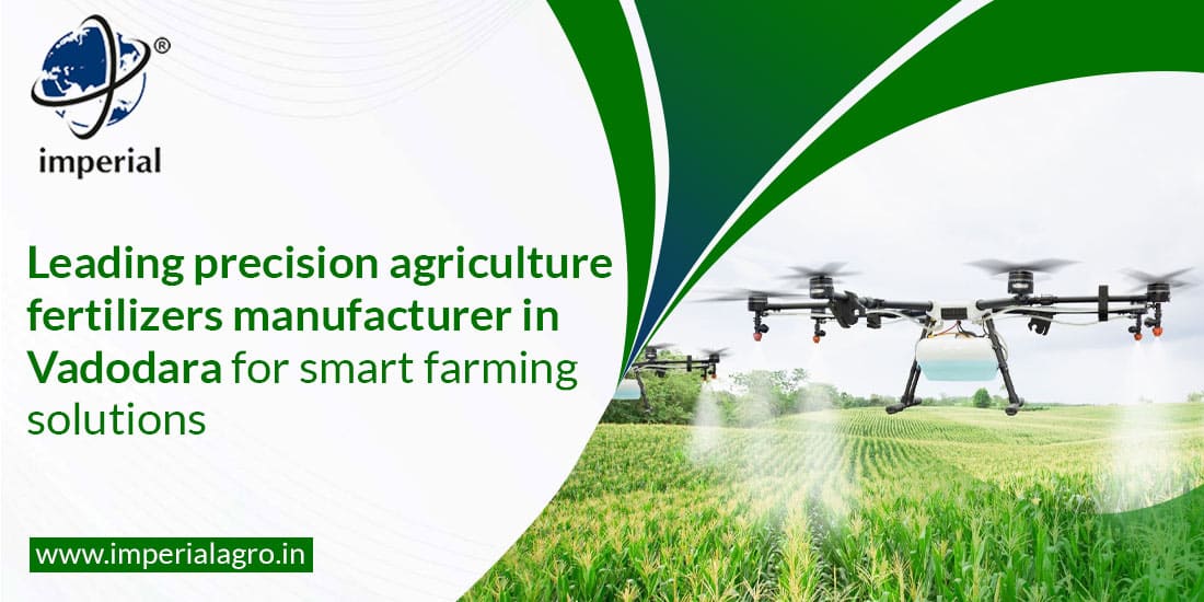 Leading Precision Agriculture Fertilizers Manufacturer in Vadodara for Smart Farming Solutions