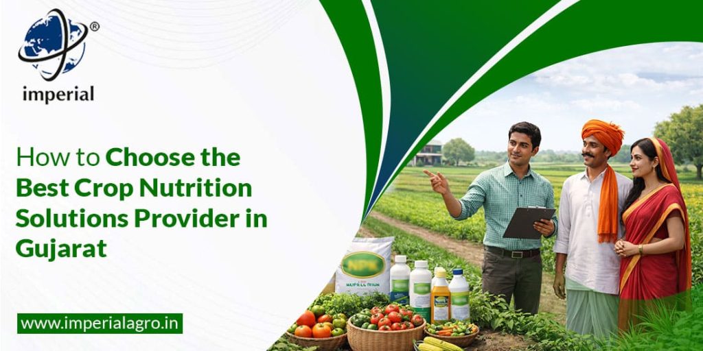 How to Choose the Best Crop Nutrition Solutions Provider in Gujarat