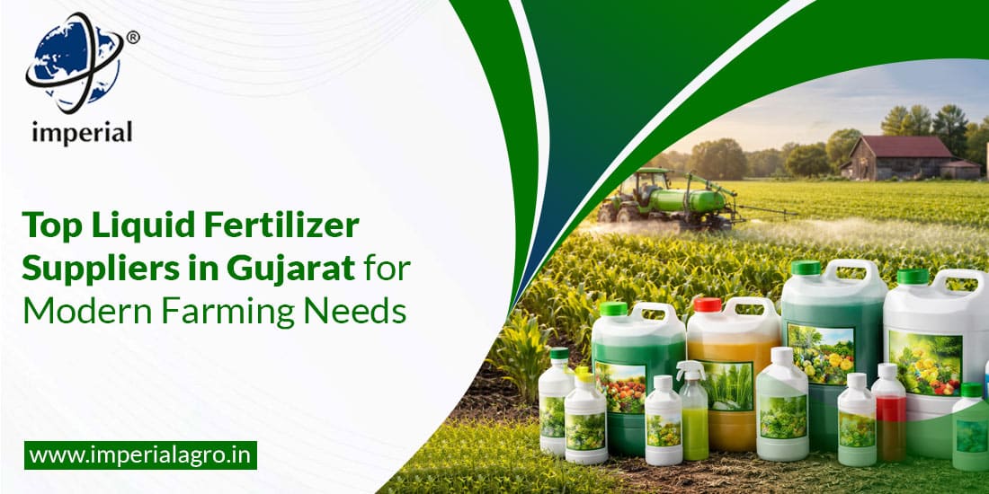 Top Liquid Fertilizer Suppliers in Gujarat for Modern Farming Needs