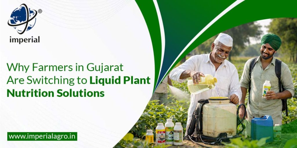 Why Farmers in Gujarat Are Switching to Liquid Plant Nutrition Solutions