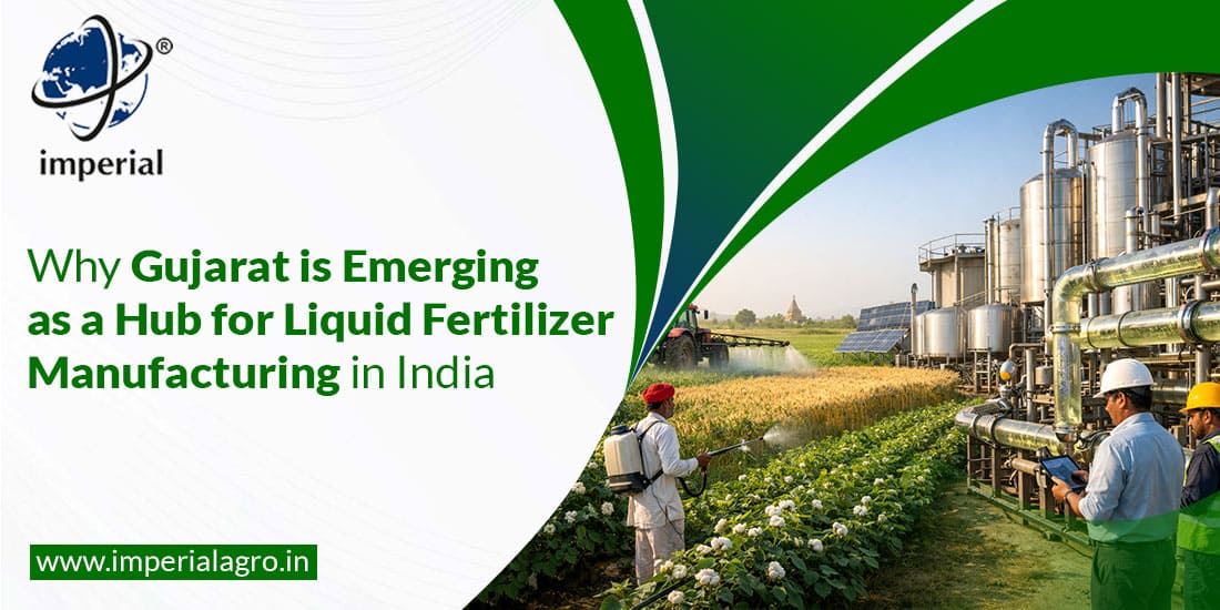 Why Gujarat is Emerging as a Hub for Liquid Fertilizer Manufacturing in India