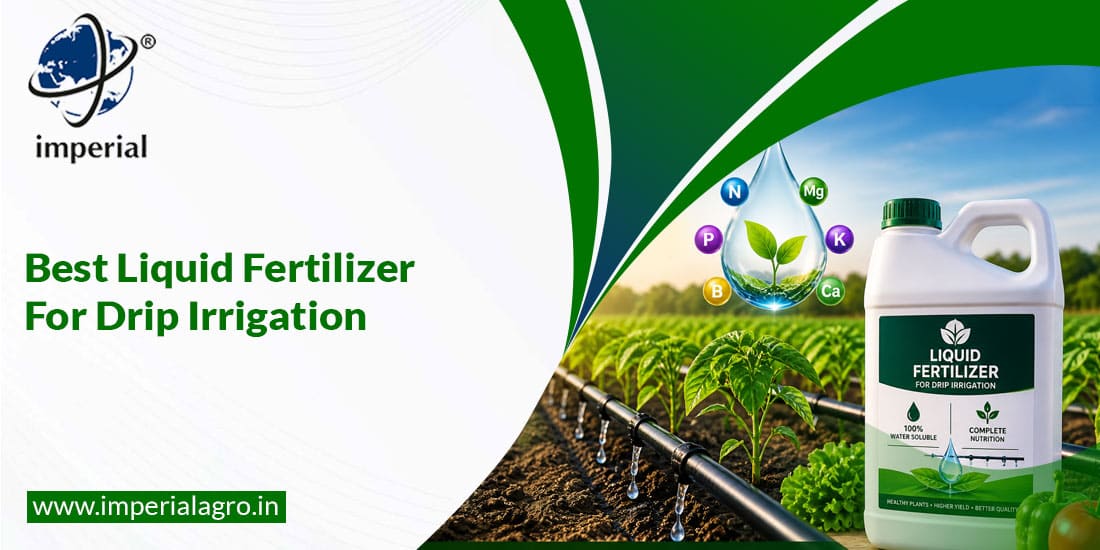 Best Liquid Fertilizer For Drip Irrigation