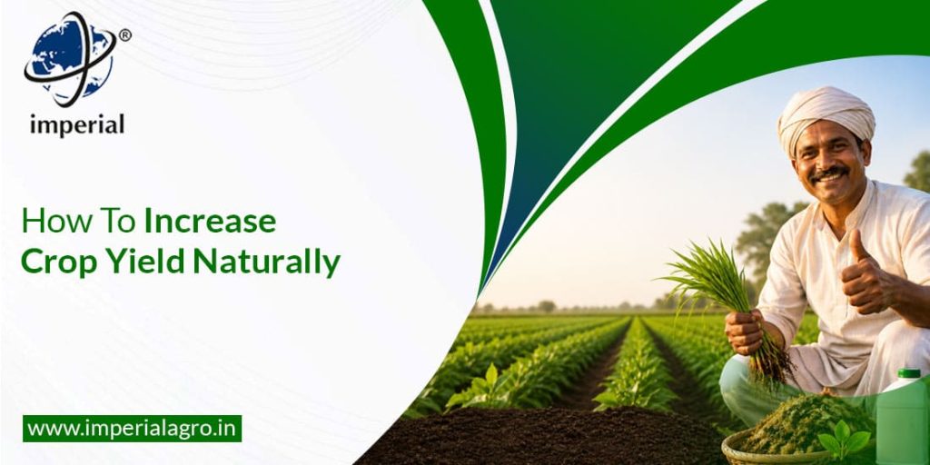 How To Increase Crop Yield Naturally