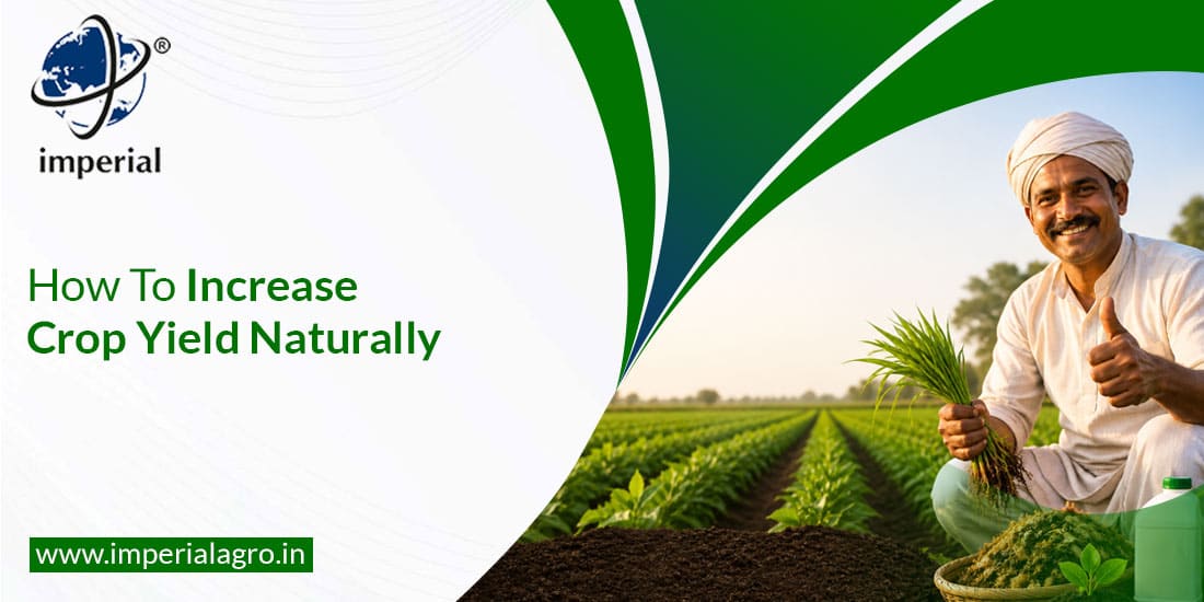 How To Increase Crop Yield Naturally