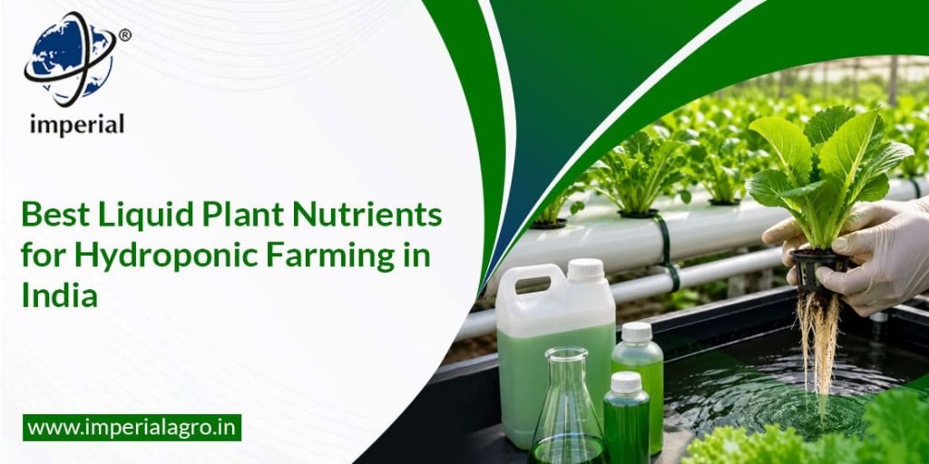 Best Liquid Plant Nutrients for Hydroponic Farming in India