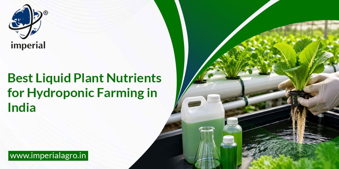 Best Liquid Plant Nutrients for Hydroponic Farming in India