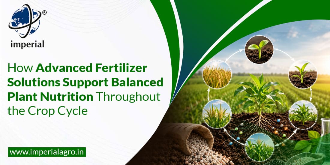 How Advanced Fertilizer Solutions Support Balanced Plant Nutrition Throughout the Crop Cycle