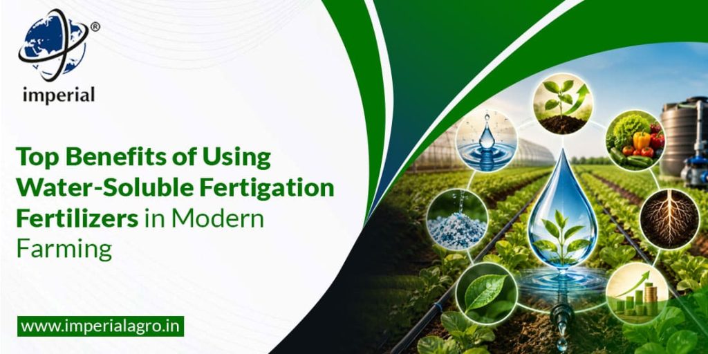 Top Benefits of Using Water-Soluble Fertigation Fertilizers in Modern Farming