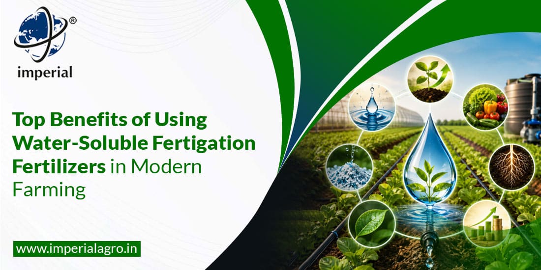 Top Benefits of Using Water-Soluble Fertigation Fertilizers in Modern Farming