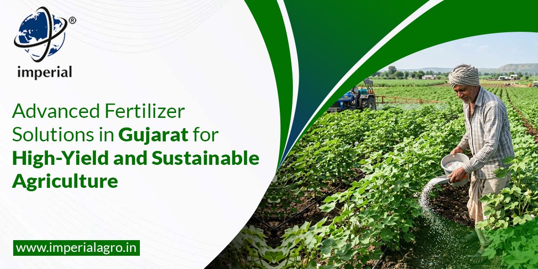 Advanced Fertilizer Solutions in Gujarat for High-Yield and Sustainable Agriculture