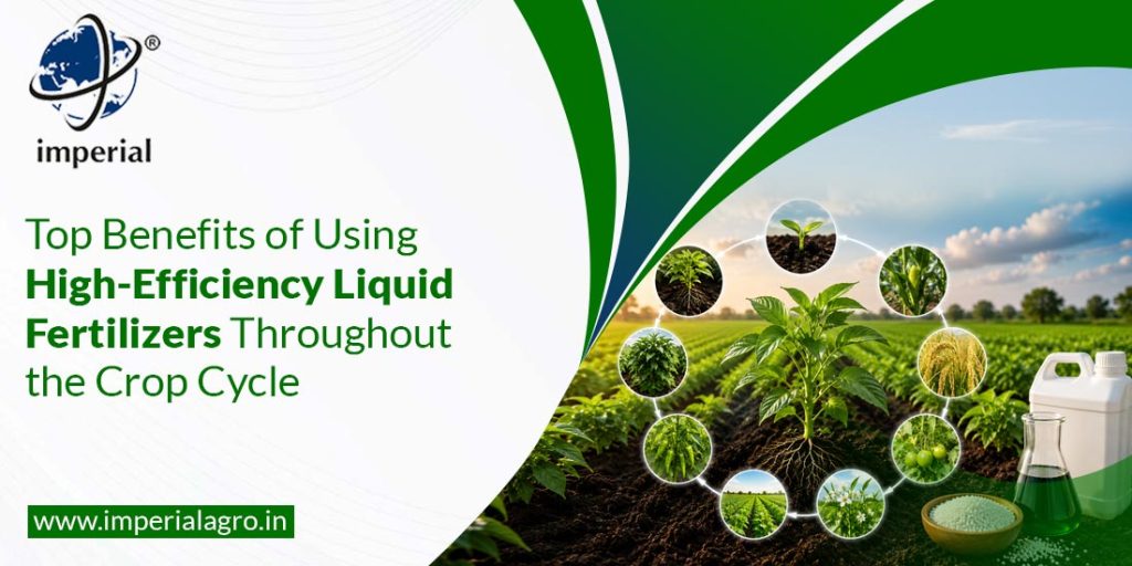 Top Benefits of Using High-Efficiency Liquid Fertilizers Throughout the Crop Cycle