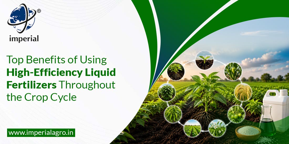 Top Benefits of Using High-Efficiency Liquid Fertilizers Throughout the Crop Cycle