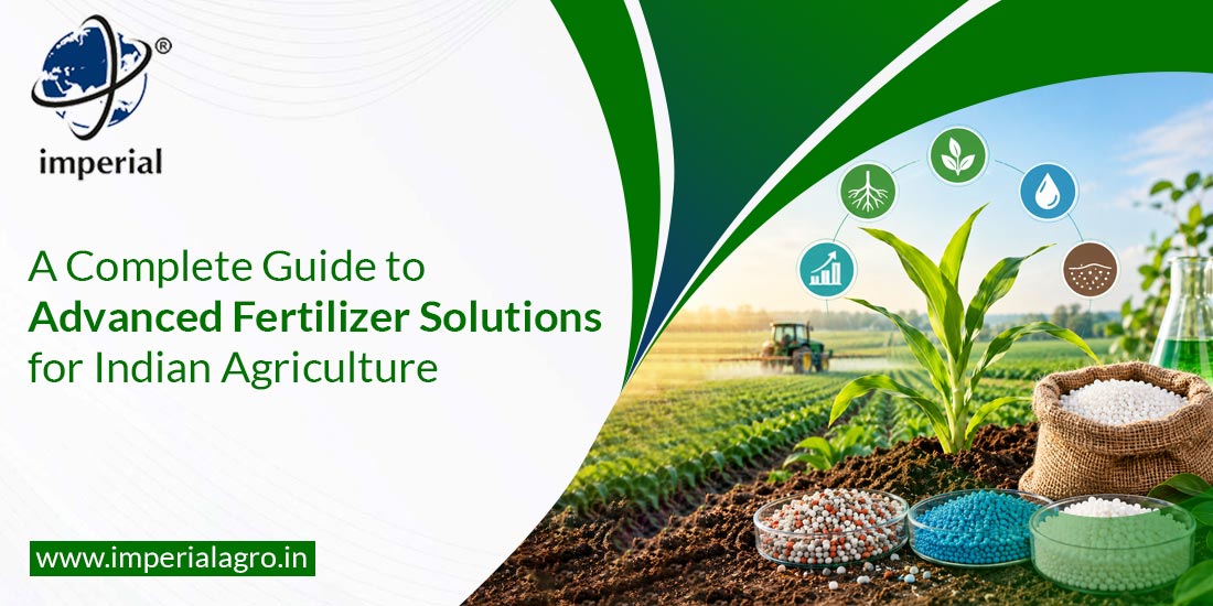 A Complete Guide to Advanced Fertilizer Solutions for Indian Agriculture