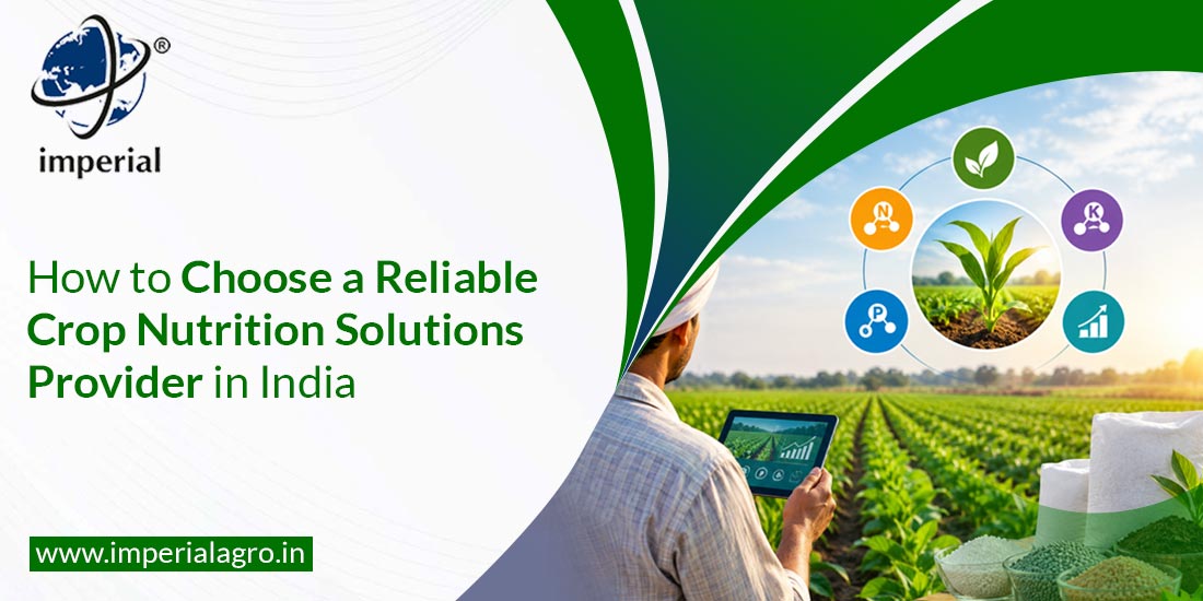 How to Choose a Reliable Crop Nutrition Solutions Provider in India