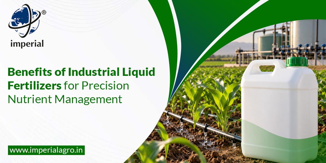 Benefits of Industrial Liquid Fertilizers for Precision Nutrient Management