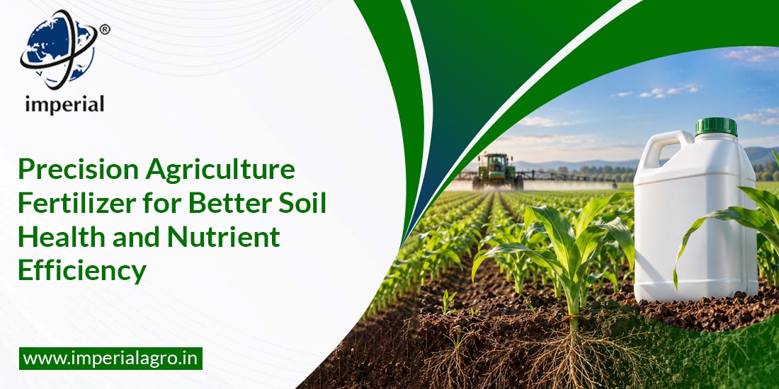 Precision Agriculture Fertilizer for Better Soil Health and Nutrient Efficiency
