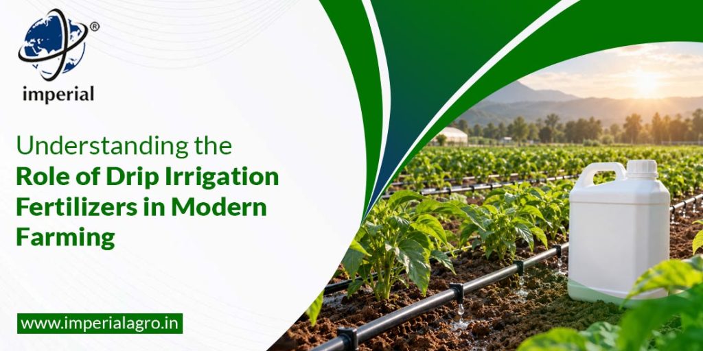 Understanding the Role of Drip Irrigation Fertilizers in Modern Farming